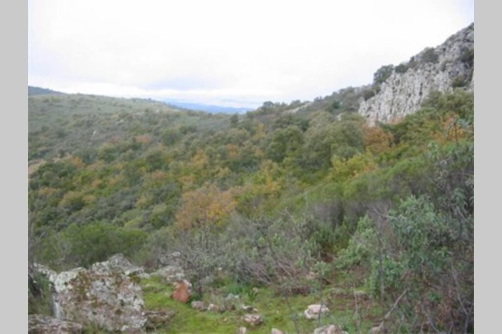 فيلا Cortijo "Era Grande 2" قرطبة المظهر الخارجي الصورة