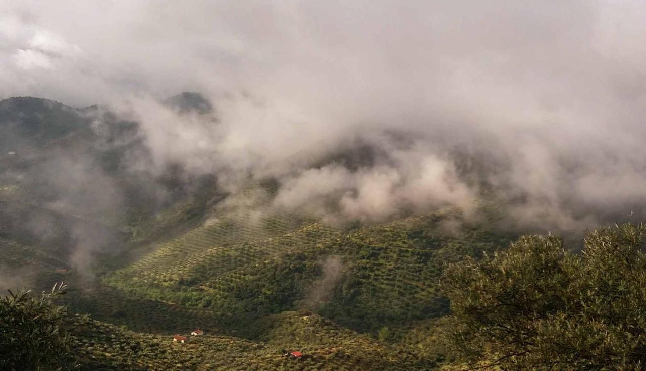فيلا Cortijo "Era Grande 2" قرطبة المظهر الخارجي الصورة