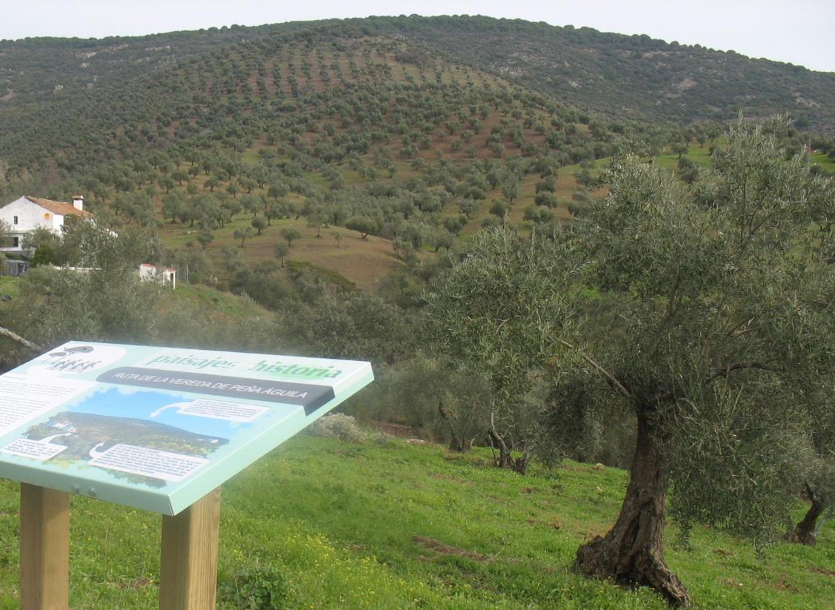 فيلا Cortijo "Era Grande 2" قرطبة المظهر الخارجي الصورة